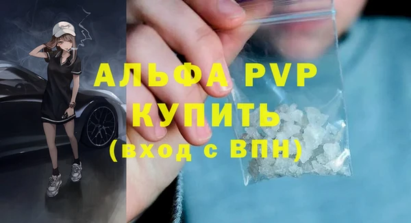 ешки Белокуриха