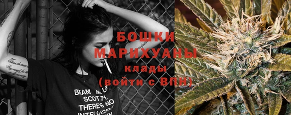ешки Белокуриха