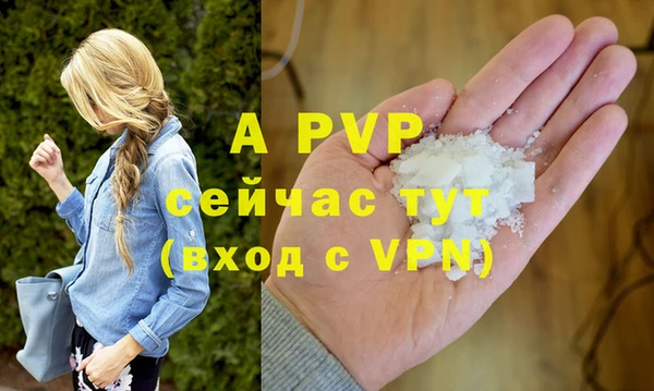 ешки Белокуриха